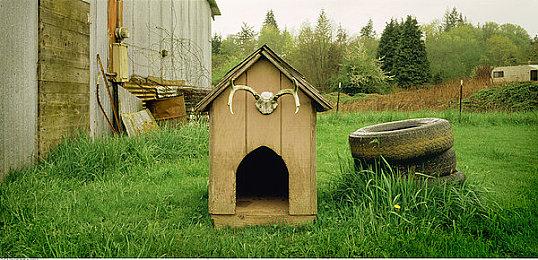 《怪物猎人崛起：曙光》第二弹免费更新上线 添加三个新怪物